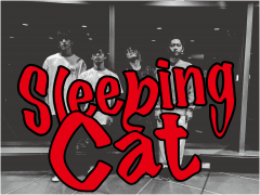Sleeping Cat